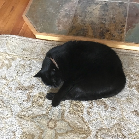 Meet your Posher, V - Picture 1 of 1